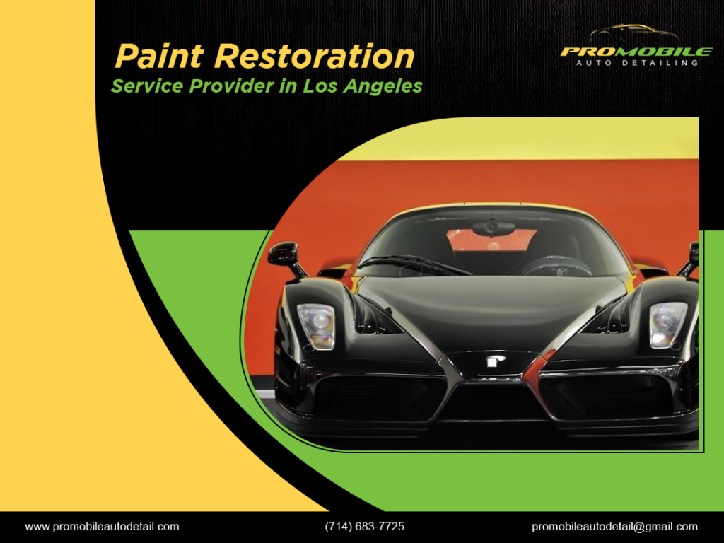 paint protection film